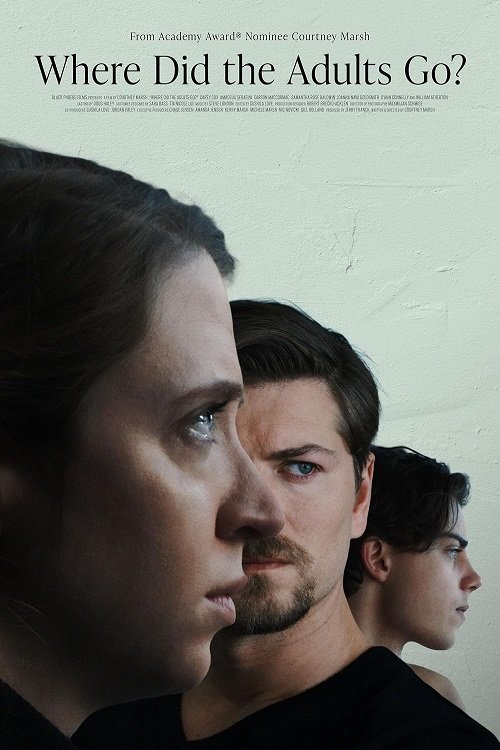 Where Did the Adults Go? (2025) movie poster