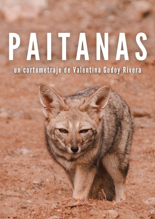 Paitanas movie poster