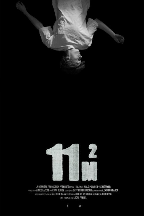 11m2 (2024) movie poster