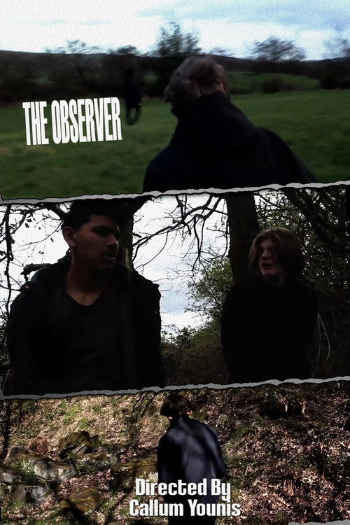 The Observer (2026) movie poster