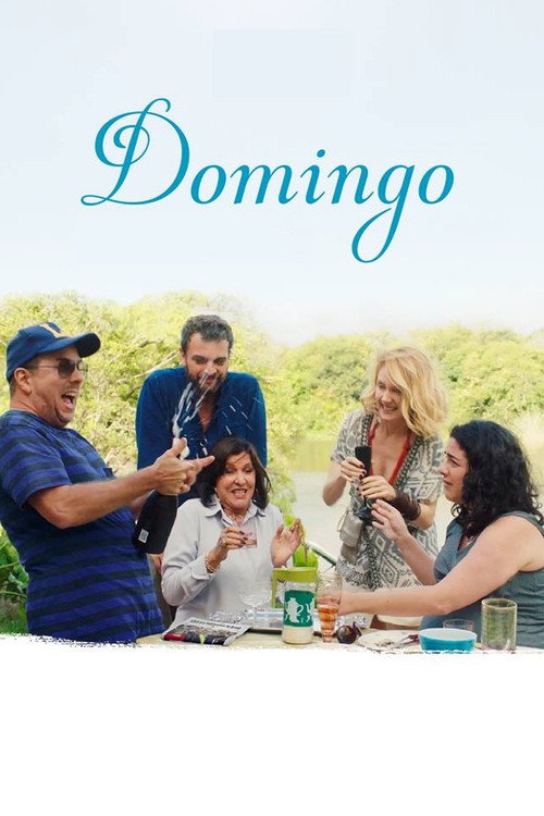 Domingo (2018) movie poster