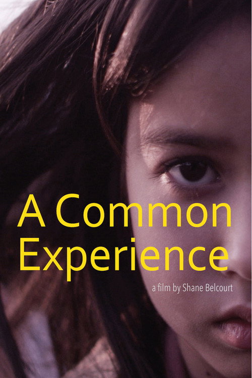 A Common Experience (2013) movie poster