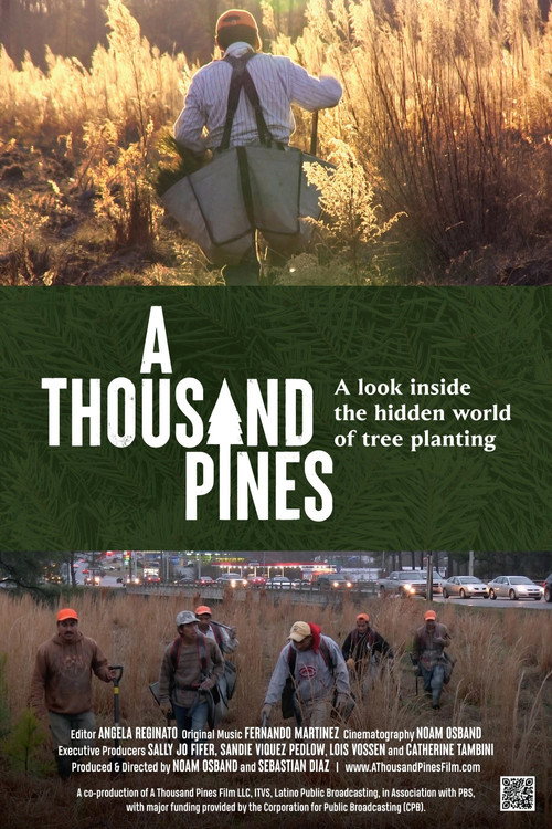 A Thousand Pines (2023) movie poster