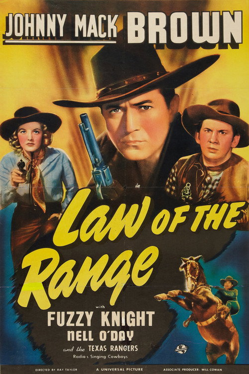 Law of the Range (1941) movie poster