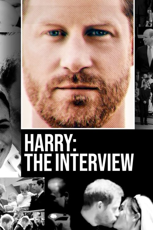 Harry: The Interview (2023) movie poster
