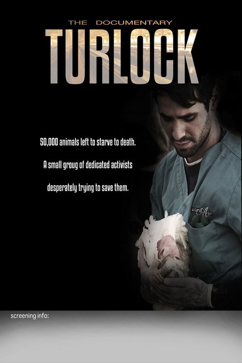 Turlock (2013) movie poster