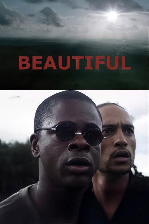 Beautiful (2011) movie poster