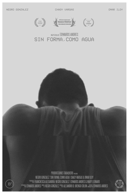Shapeless, Like Water (2018) movie poster