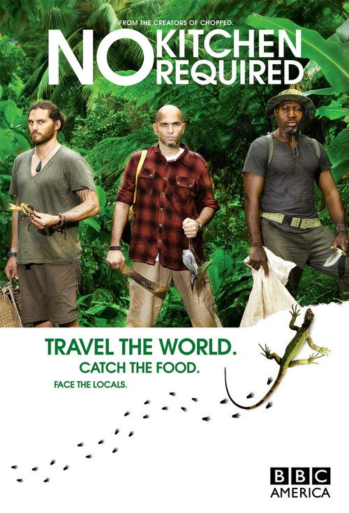 No Kitchen Required (2012) TV show poster