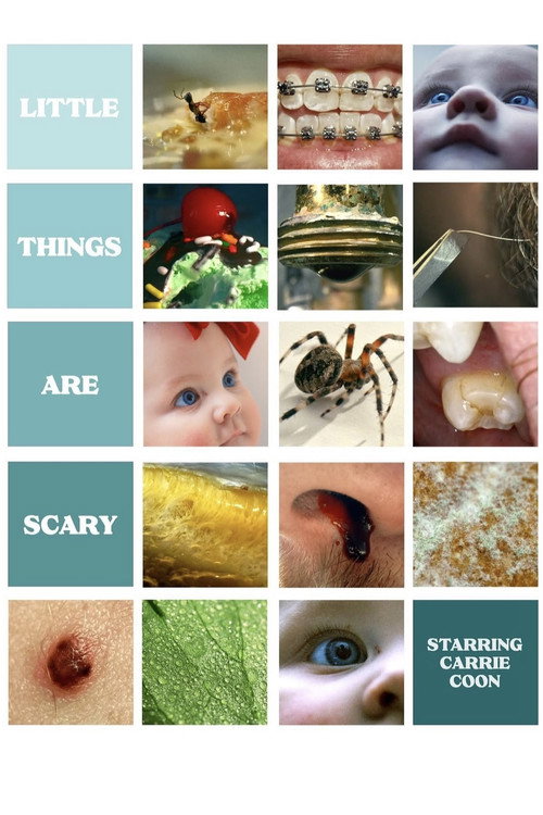 Little Things Are Scary (2023) movie poster