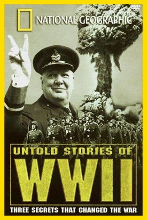 National Geographic: Untold Stories of World War II (1998) movie poster
