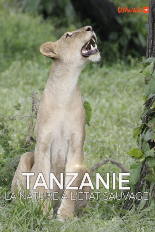 Tanzanie, la nature à l'état sauvage (2017) TV show poster