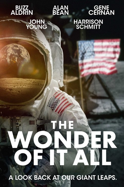 The Wonder of It All (2007) movie poster