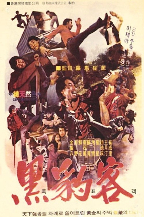 Black Guide (1974) movie poster