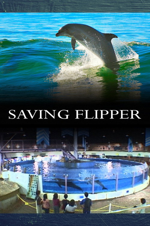 Saving Flipper (2009) movie poster