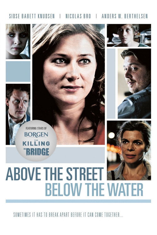 Above the Street, Below the Water (2009) movie poster
