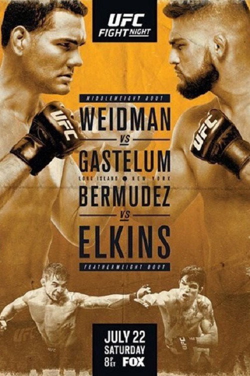 UFC on Fox 25: Weidman vs Gastelum (2017) movie poster