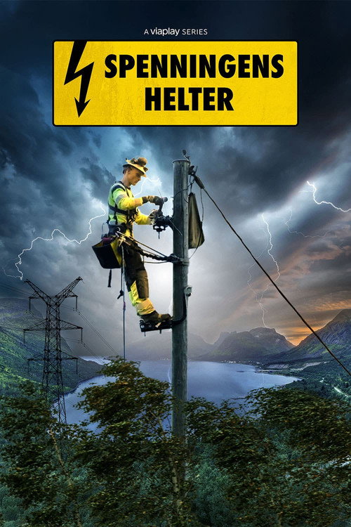 High Voltage Heroes (2026) TV show poster