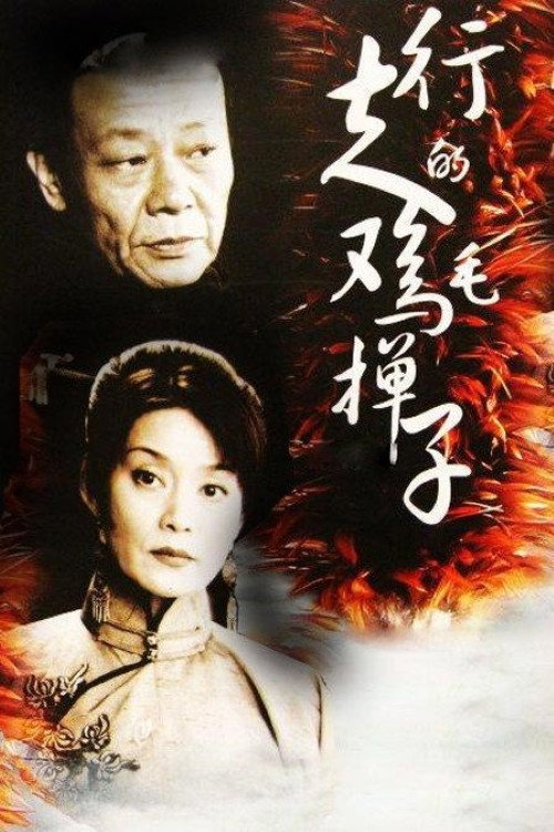 行走的鸡毛掸子 (2006) TV show poster