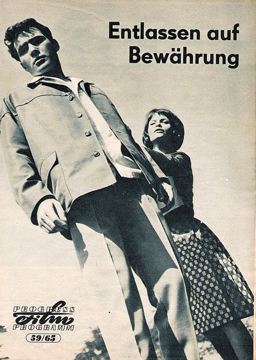 Entlassen auf Bewährung (1965) movie poster