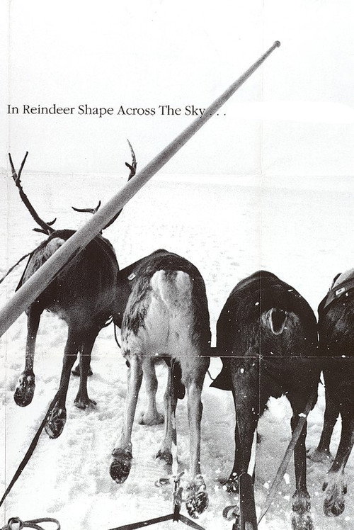 In Reindeer Shape Across the Sky... (1993) movie poster
