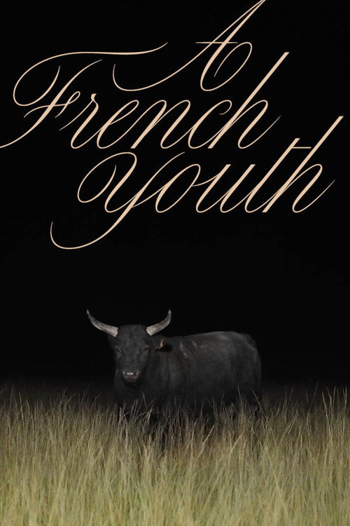 A French Youth (2024) movie poster