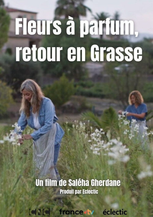 Fleurs à parfum, retour en Grasse (2026) movie poster