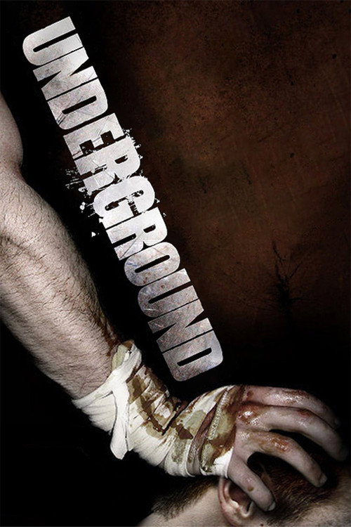 Underground (2007) movie poster
