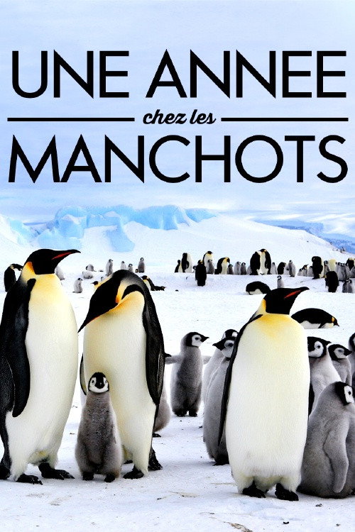 A Year With the Penguins (2017) movie poster