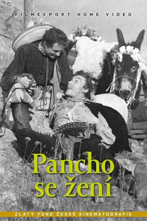Pancho se žení (1946) movie poster