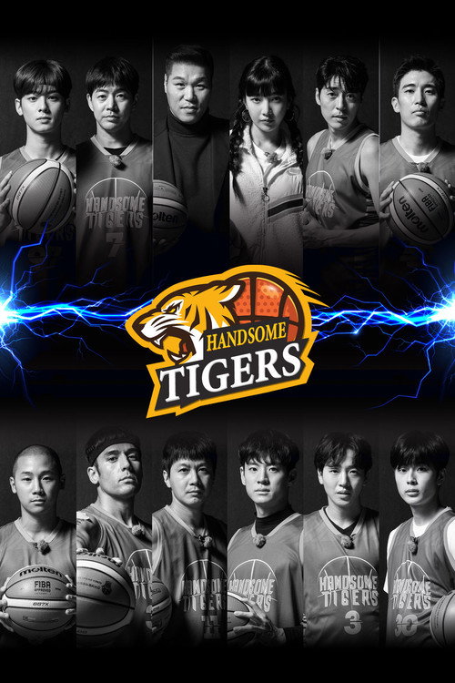 Handsome Tigers (2020) TV show poster