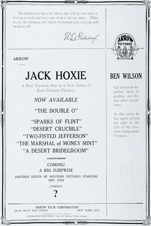 The Desert Bridegroom (1922) movie poster
