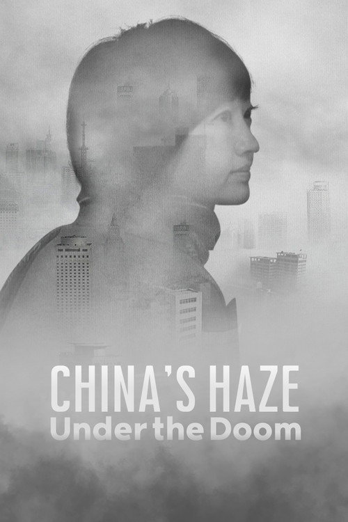 China's Haze: Under the Doom (2015) movie poster