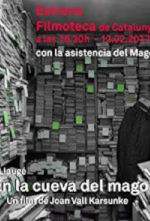 En la cueva del mago (2017) movie poster