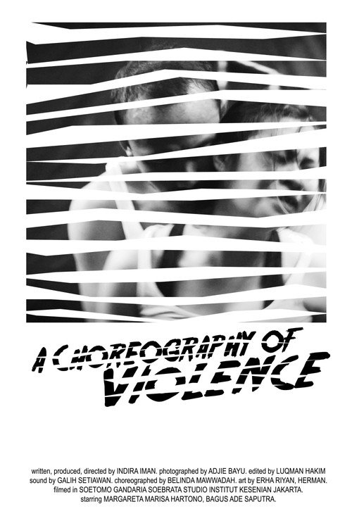 A Choreography of Violence (2018) movie poster