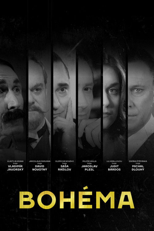 Bohéma (2017) TV show poster