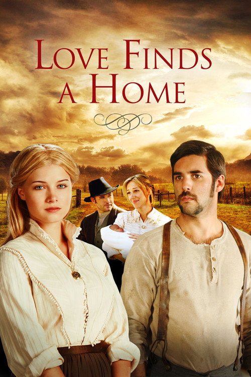 Love Finds A Home (2009) movie poster