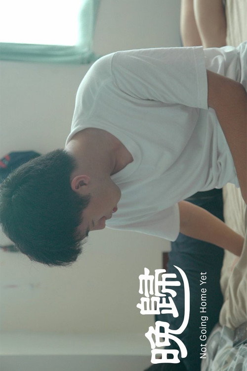 Not Going Home Yet (2016) movie poster