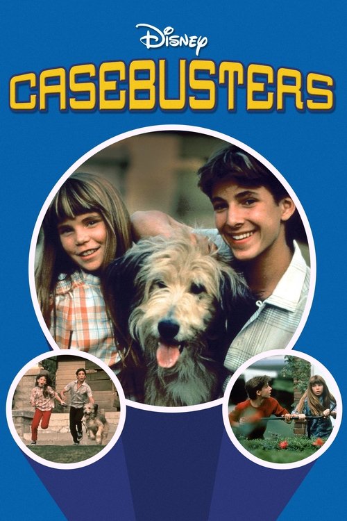Casebusters (1986) movie poster