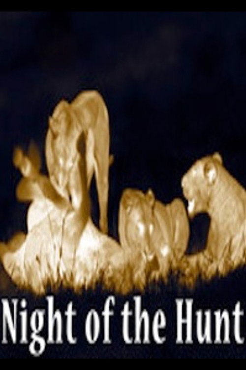 Night of the Hunt (2011) movie poster