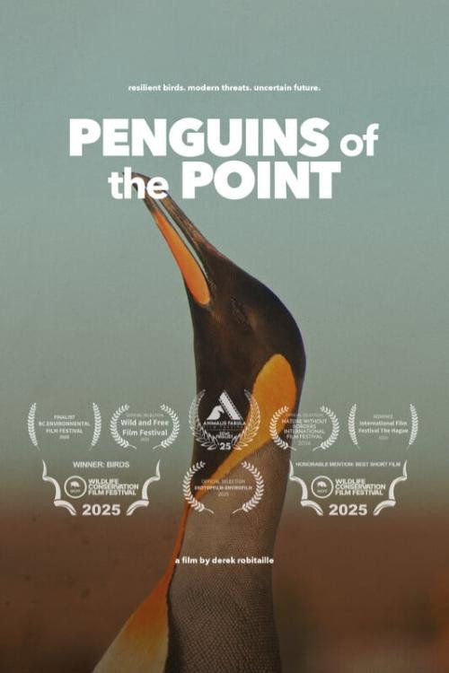 Penguins of the Point (2025) movie poster