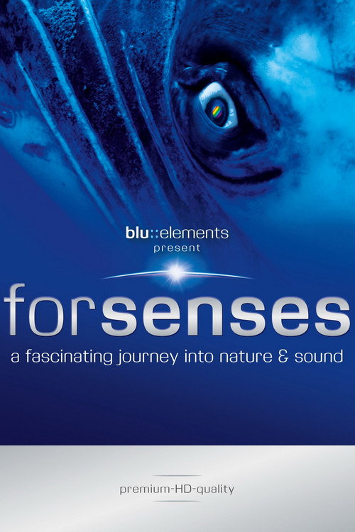 Forsenses - A Fascinating Journey into Nature & Sound (2009) movie poster