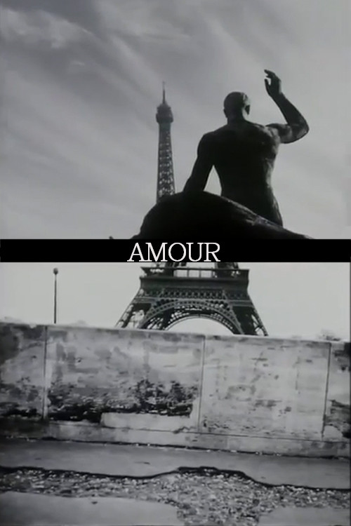 Amour (1997) movie poster