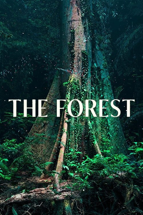 The Forest (2024) movie poster