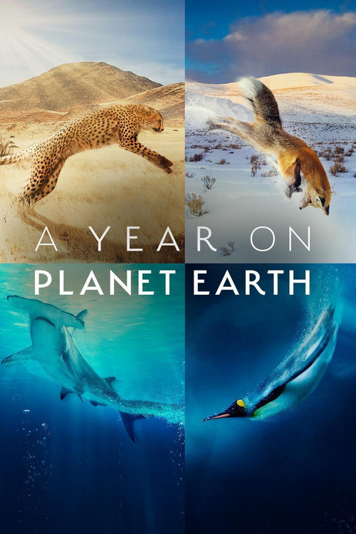 A Year on Planet Earth (2022) TV show poster