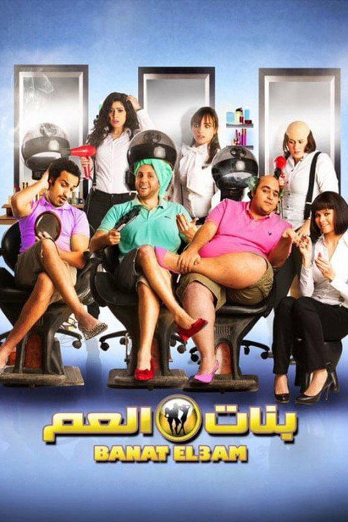 Female Cousins (2012) movie poster