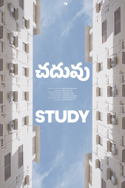 Study movie poster