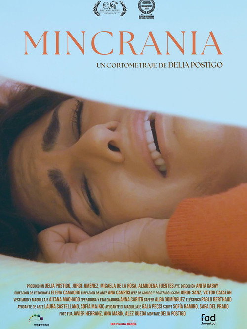 Mincrania (2025) movie poster