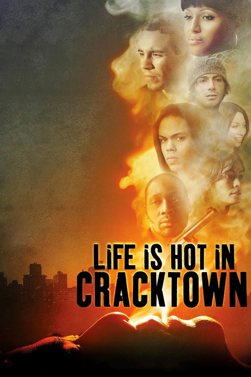 Life Is Hot in Cracktown (2009) movie poster