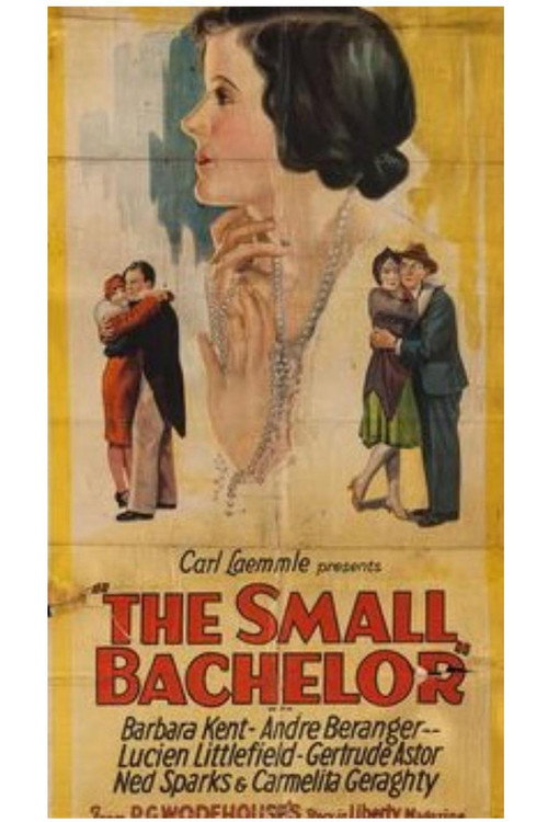 The Small Bachelor (1927) movie poster